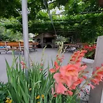Gordana * Supetarska Draga