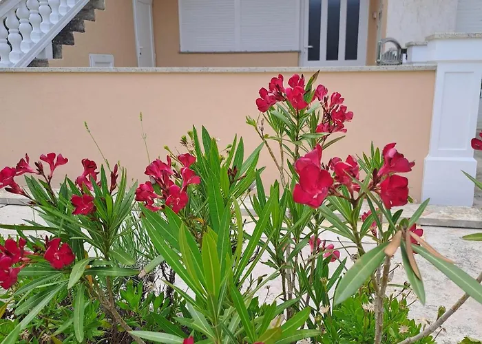 Gordana Supetarska Draga